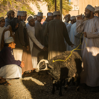 Goat Traders