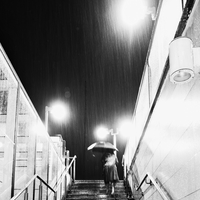 One Humid Night in Bangkok