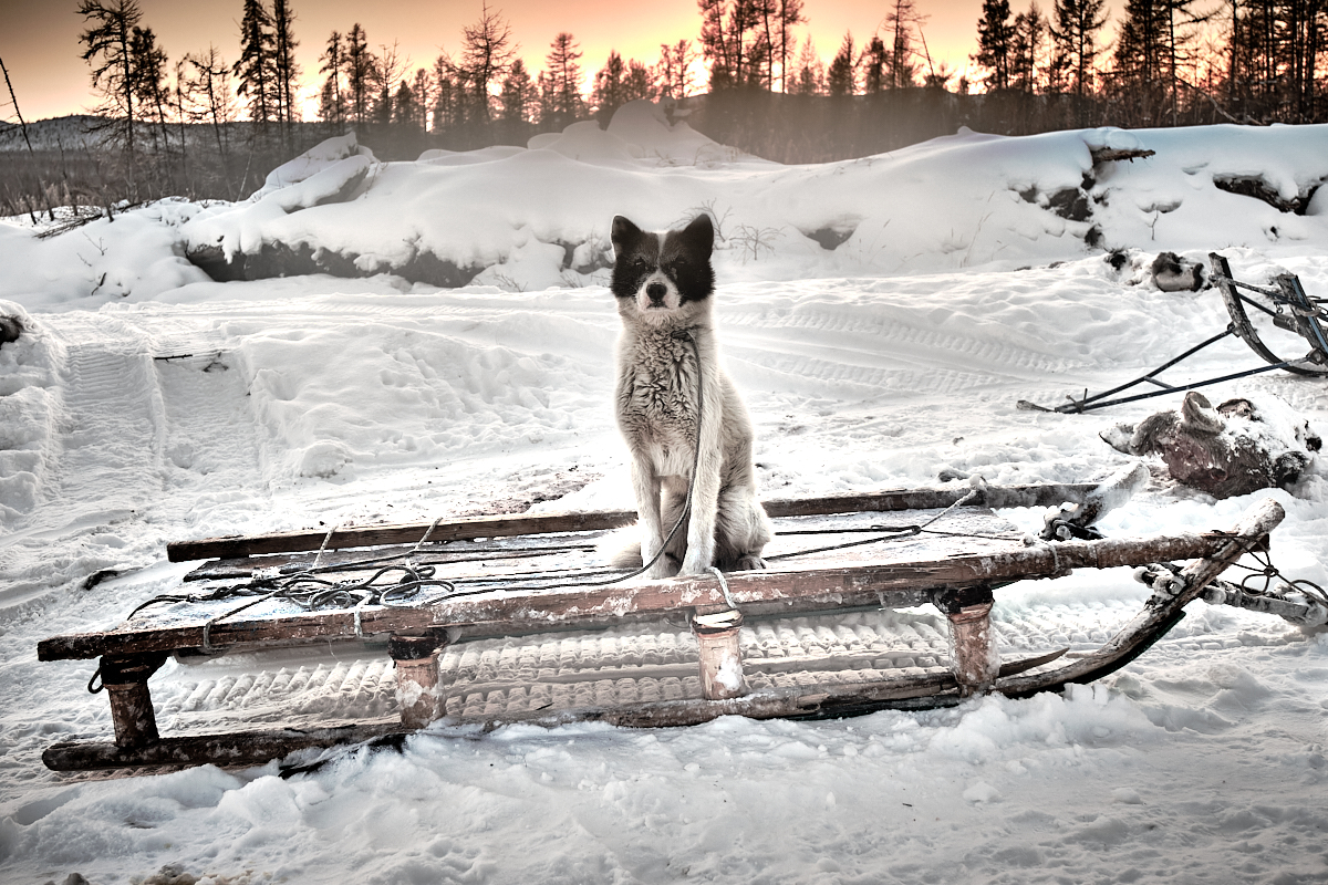 People of the Far Frost