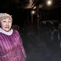 People of the Far Frost