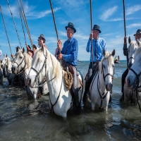 Pilgrimage of the Travellers in Saintes-Maries-de-la-Mer