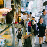 The Streets of Mongkok