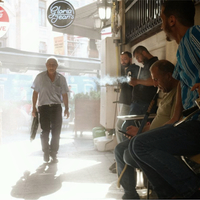 “Where the Light Falls”