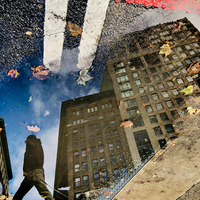 Puddle Scape: In His Lane