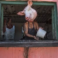 When The Pavement Breathes