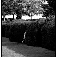 The Quiet Paris I Remember