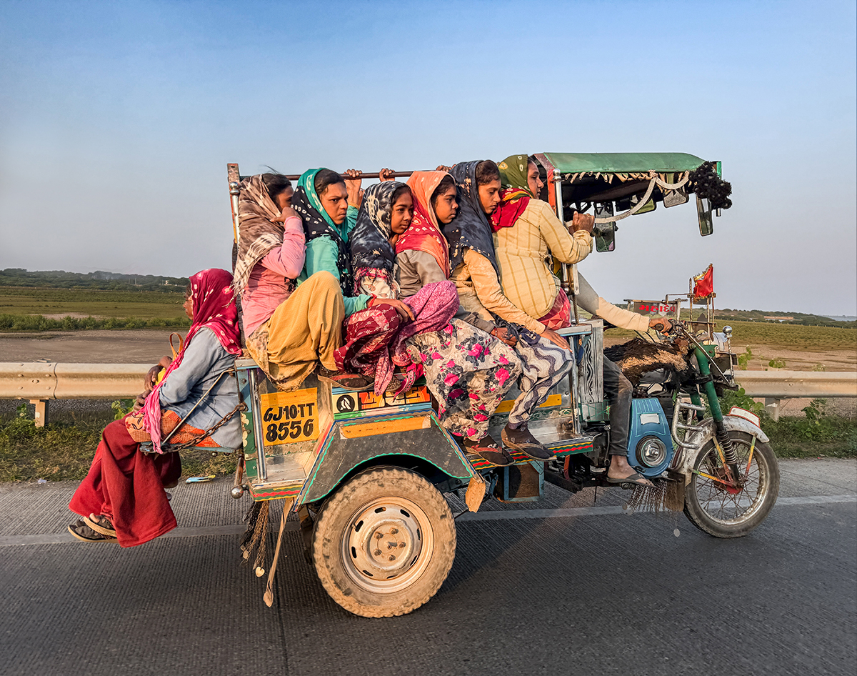 The Rhythm of Resilience