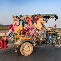 The Rhythm of Resilience