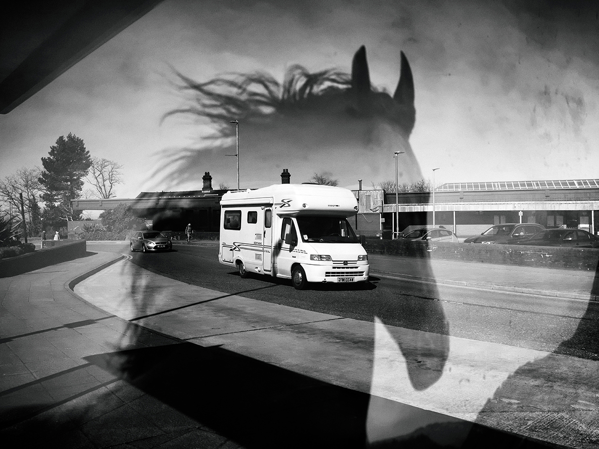 The Surreal World - A Lacuna Project