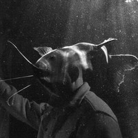 The Surreal World - A Lacuna Project