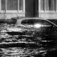 The Surreal World - A Lacuna Project