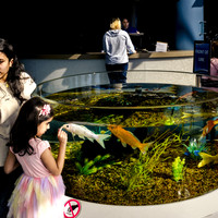 Unscripted Alignments