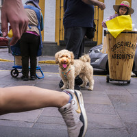 Unscripted Alignments