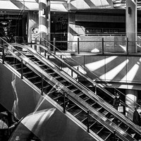 A Fleeting Glitch of the Street