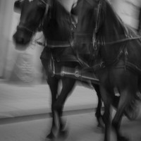 Horsemen of Memories