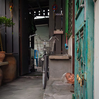 Unexpected Encounters – Bangkok’s Quiet Absurdities