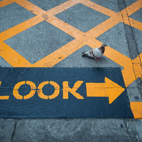 Unexpected Encounters – Bangkok’s Quiet Absurdities