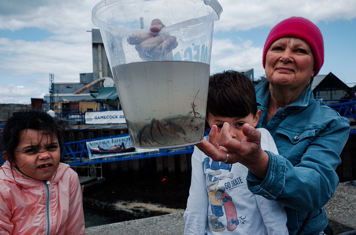 The bucket of stories