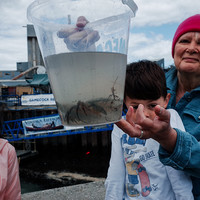 The bucket of stories