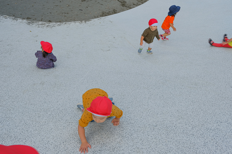 Giant Slide