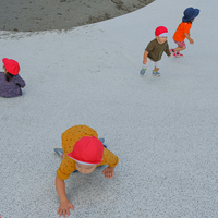 Giant Slide