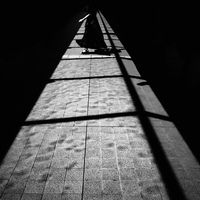 Tokyo light & shadow