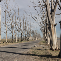 Ville sous l'eau, Epecuén