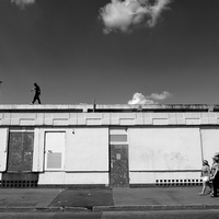 Cats on a hot tin roof