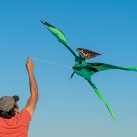 Kite Park