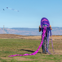 Kite Park