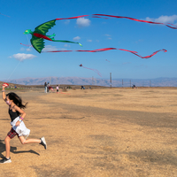 Kite Park