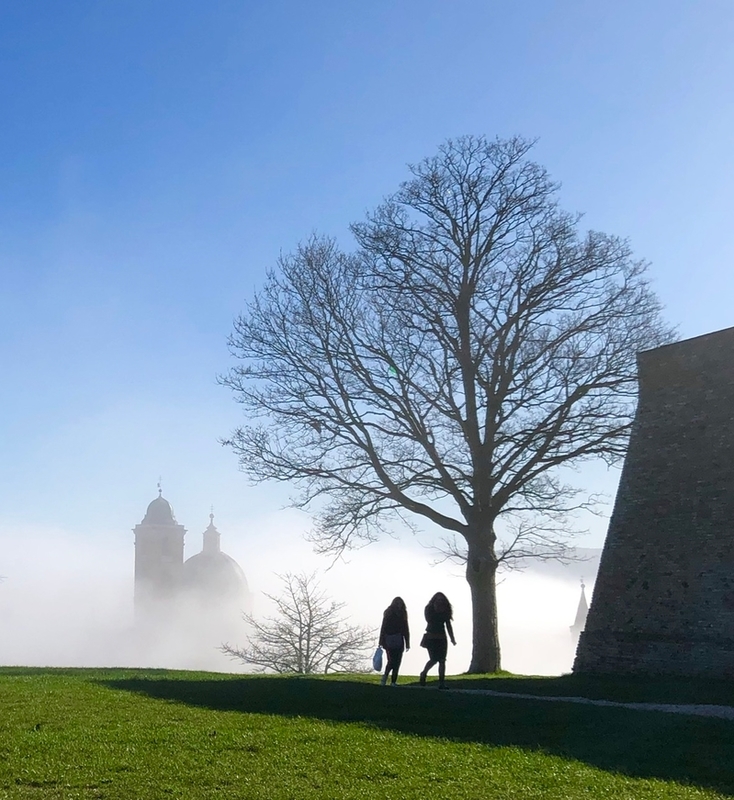 Silhouette in Urbino