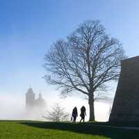 Silhouette in Urbino