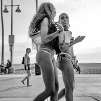 The Culture of Venice Beach 