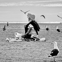 The Culture of Venice Beach 