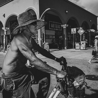 The Culture of Venice Beach 