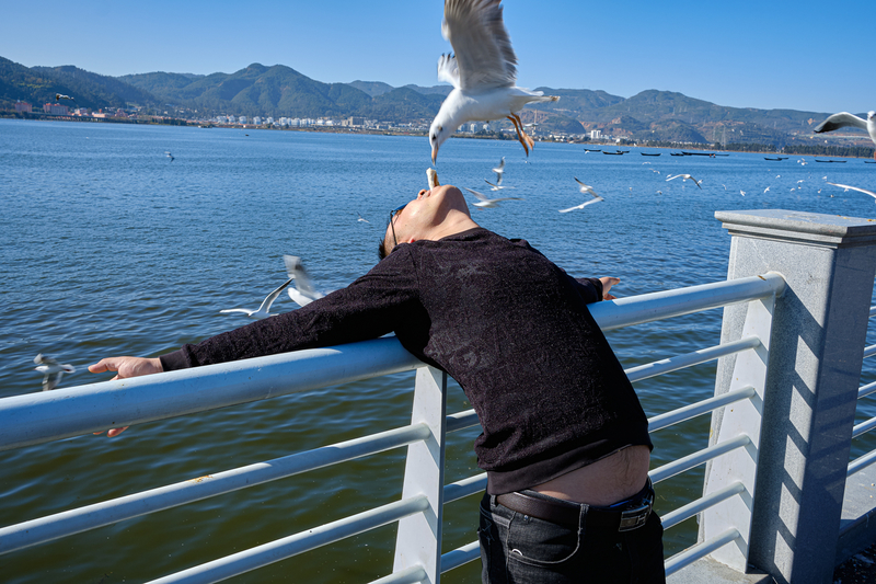 Human Feeder