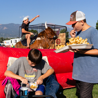 Colorado Springs Balloon Festival