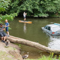 Goose whisperer, stand-up paddlers and car in the river