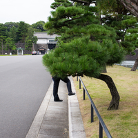 Salarymen