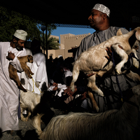 Goat auction in Nizwa