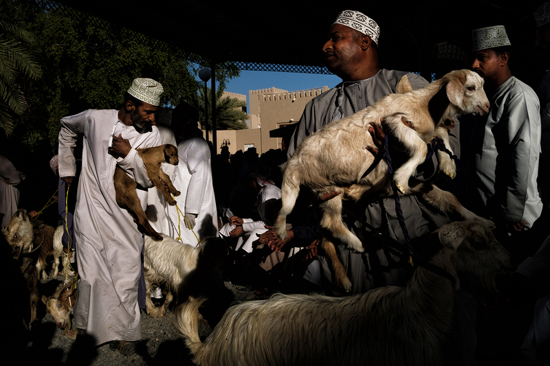 Goat auction in Nizwa