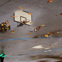 Basket Autunnale con Air Crocs Jordan