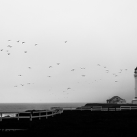 Storm at the Lighthouse 