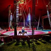 Circus