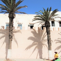 Comme un tableau à Essaouira