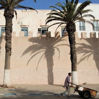 Comme un tableau à Essaouira