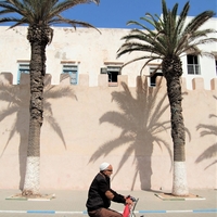 Comme un tableau à Essaouira