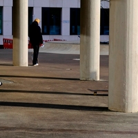 Columns, Poles and Trees - Vertical Lines in the Street