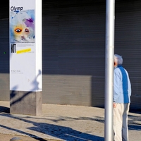 Columns, Poles and Trees - Vertical Lines in the Street